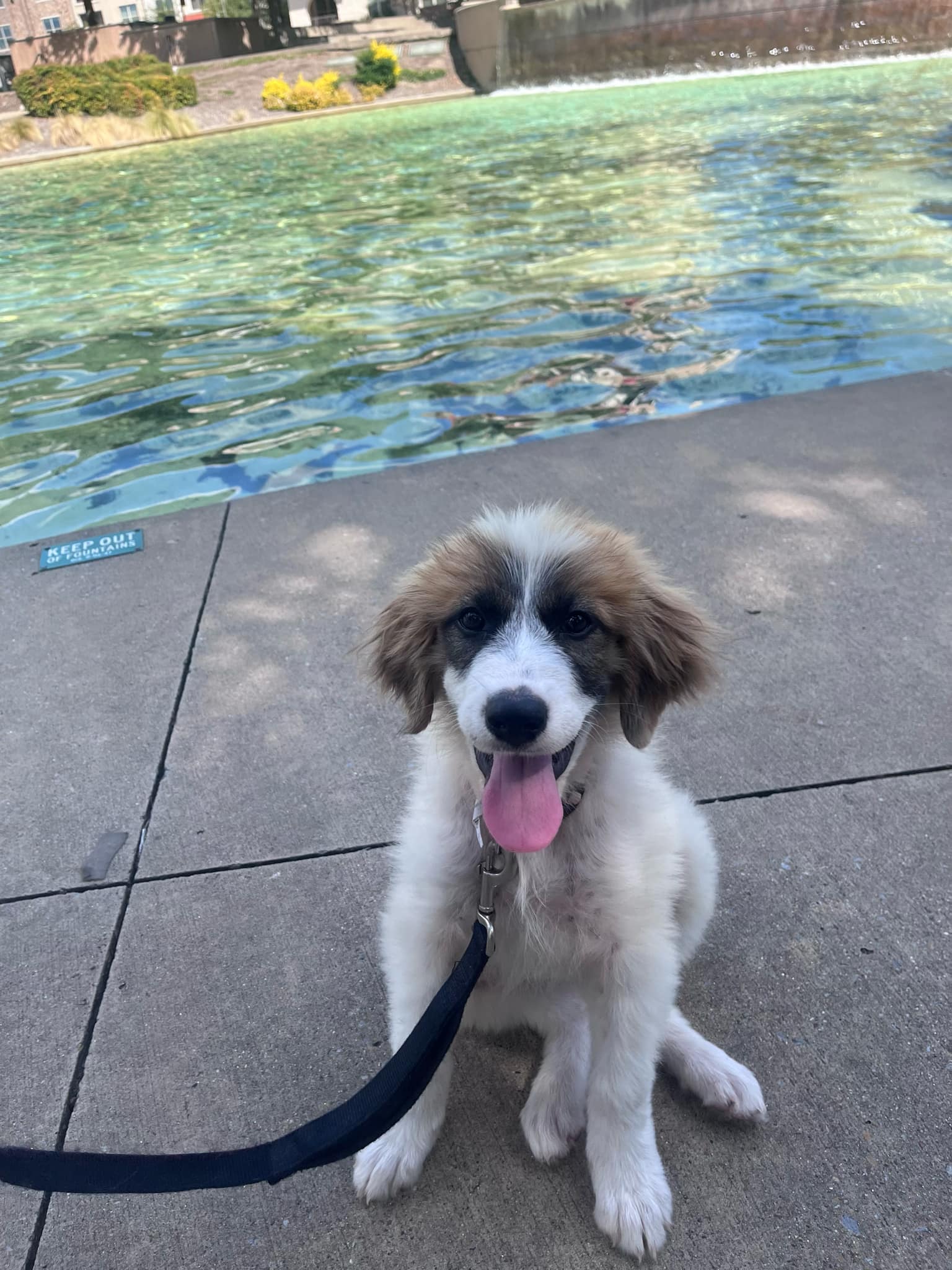 TEXAS, DALLAS METRO AREA; "PEACHY"'s  Page