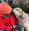 TEXAS, DALLAS; **URGENT** 