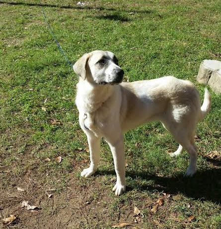 TEXAS, TYLER; **URGENT** 