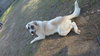 TEXAS, TYLER; **URGENT** 