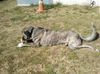 OKLAHOMA, TULSA; **URGENT** 