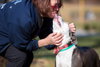 Petunia - Photo 6