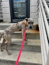 Bruce - Photo 24