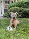 Bruce - Photo 15
