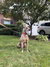 Bruce - Photo 18
