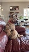 Bruce - Photo 16