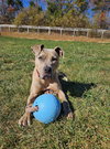 Bruce - Photo 13
