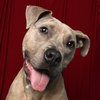 Bruce - Photo 10