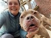 adoptable Dog in baltimore, md, MD named Mack