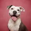 Stella - Photo 9