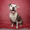 Stella - Photo 7