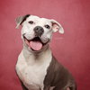 Stella - Photo 15