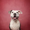 Stella - Photo 14
