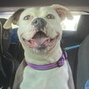 Stella - Photo 16