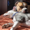 Stella - Photo 18