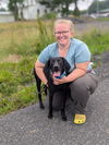 adoptable Dog in  named St Nick