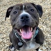 Ruby - Photo 4