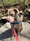 Bodi - Photo 2