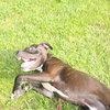 Tank - Photo 4