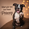 Princess - Photo 2