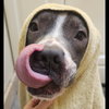 Cocoa - Photo 3