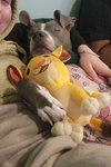 Cocoa - Photo 3