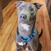 Jolly Rancher - Photo 6