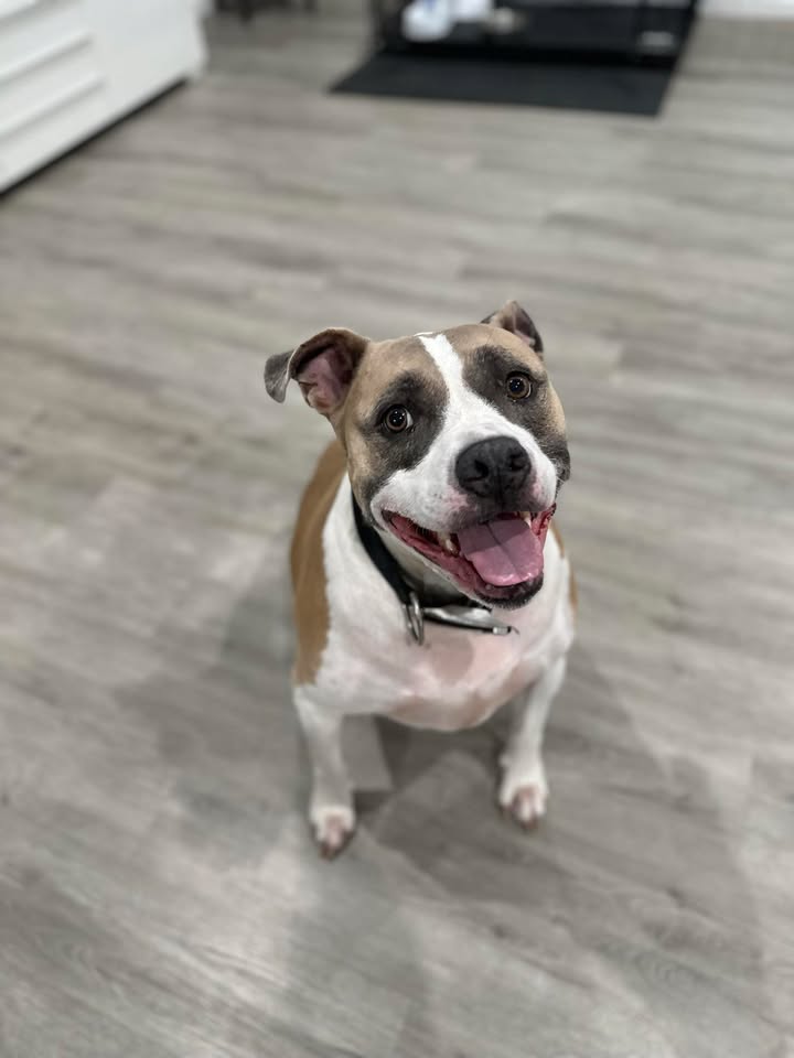 Remington