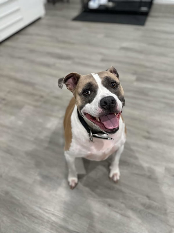 Remington