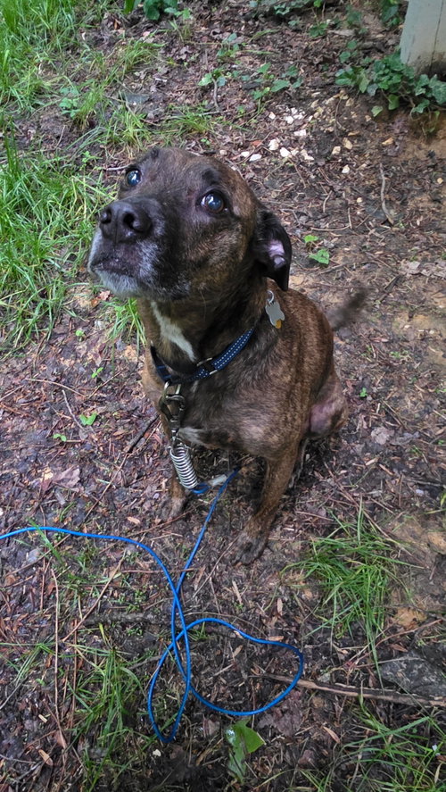 Max, photo 4