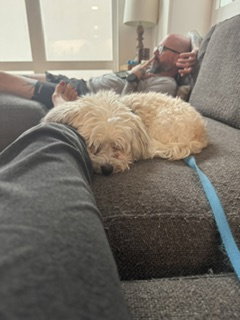 Sammy, photo 3