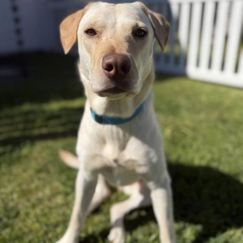 Ziany - Adopted photo 2