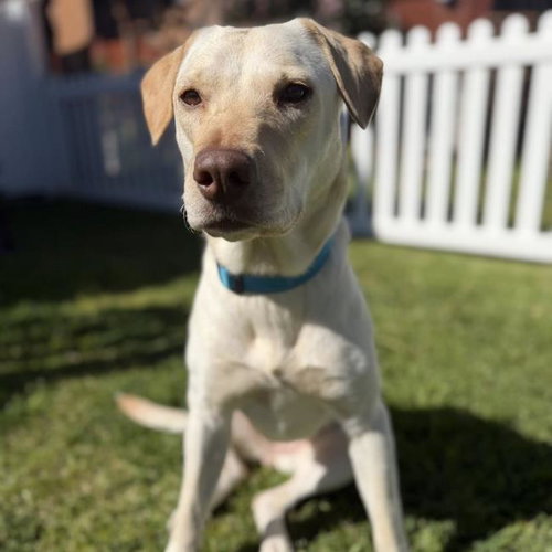 Ziany - Adopted photo 3