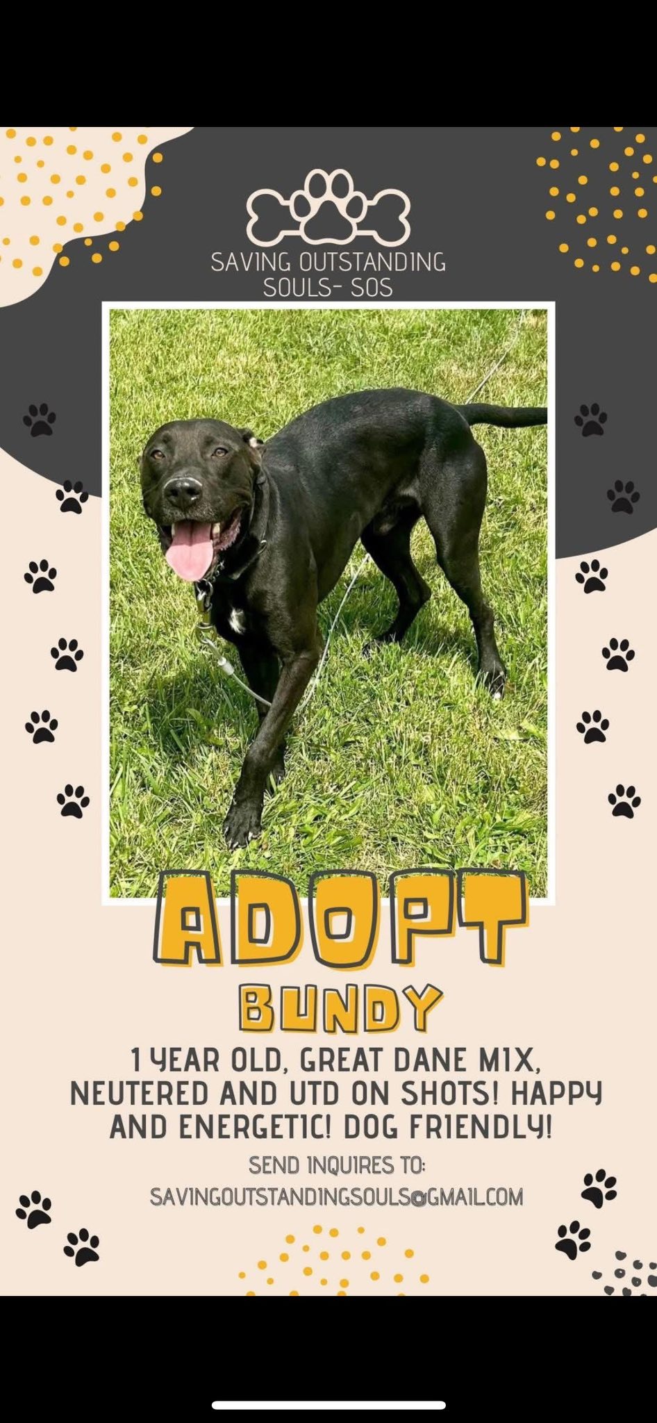 BUNDY- SOS RESCUE Image