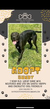 BUNDY- SOS RESCUE - Photo 1