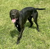 BUNDY - SOS RESCUE - Photo 1