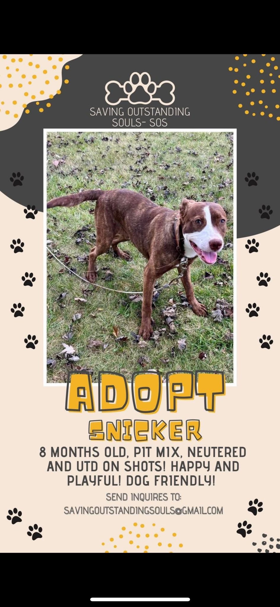 SNICKER - SOS RESCUE Image