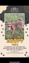 TWIX - SOS RESCUE - Photo 1