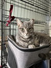 Bellatrix - Photo 6