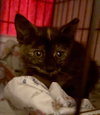 Lulla - Photo 1