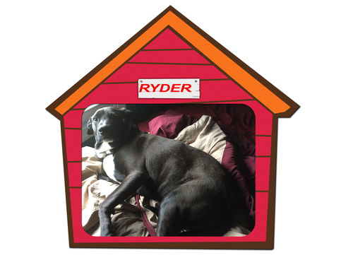 Ryder