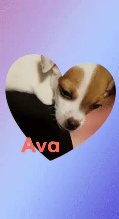 Ava