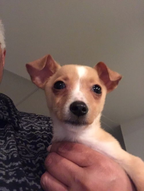 Billy