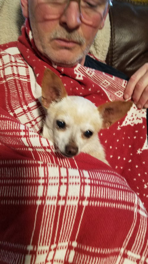 Truman