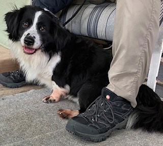 Oreo