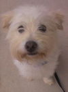 Duncan