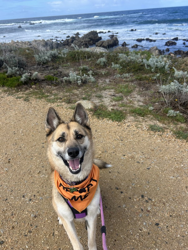 Sasha