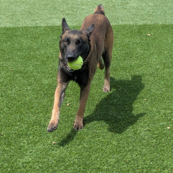 Jax