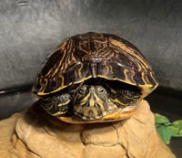 Ethel