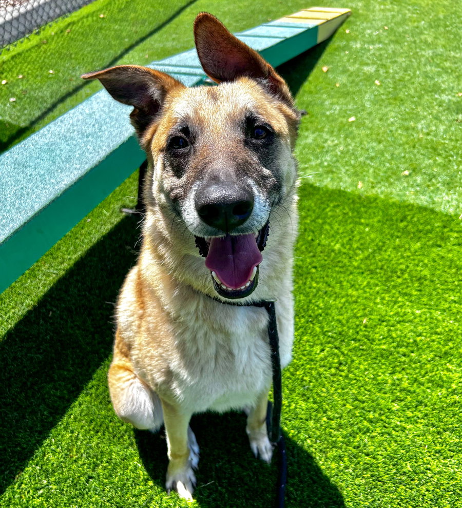 Max